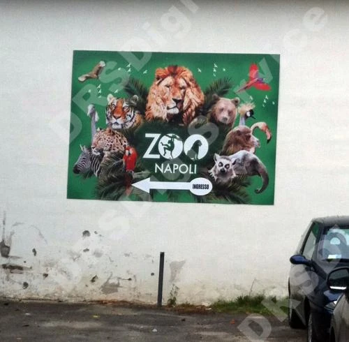 Foto su forex napoli