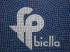 Logo Effepibiella.it 