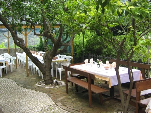 Quando il tempo lo permette le pietanze vengono servite nel grazioso giardino degli aranci.