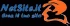 Logo Netsite Business Innovation