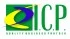 Logo ICP Services