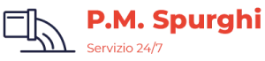 Logo P.M. Spurghi