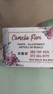 Logo Camelia Fiori di R. C.