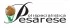 Logo Polispecialistica Pesarese Srl
