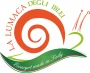 Logo Azienda Agricola Edoardo Codraro