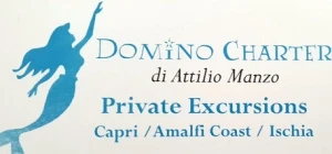 Logo Domino Immobiliare di Manzo Attilio