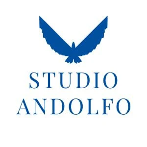 Logo Andolfo Srl