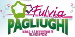 Logo Fulvia Pagliughi Snc dei f.lli Anselmo