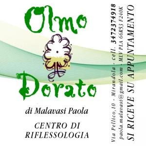 Logo Olmo Dorato di Paola Malavasi