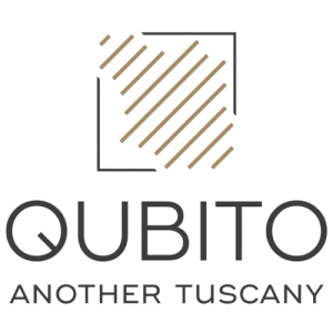 Logo Qubito Srl