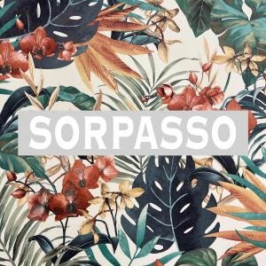 Logo Sorpasso di Natale MIchele Giovanni