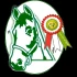 Logo Centro Ippico del Vignale
