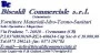 Logo Biscaldi Commerciale Srl