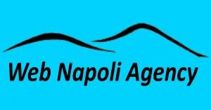 Logo Web Napoli Agency di Alessandro di Somma