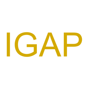 Logo IGAP Srls  