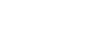 Logo Backdoor Srl