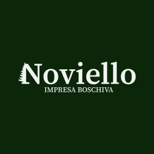 Logo  Noviello Giovanni   