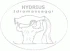 Logo Hydrius Style - Idromassaggi