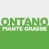 Logo Ontano Piante Grasse