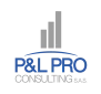 Logo P&L Pro Consulting di Paolo La Palombara & C.