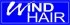 Logo Windair