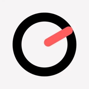 Logo Pecchini Wellington