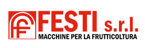 Logo Festi Srl   