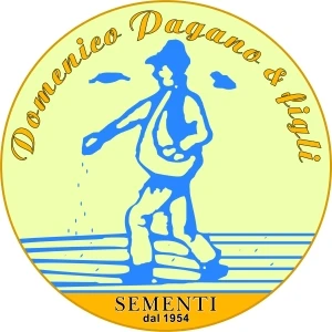 Logo Pagano Domenico & Figli di Pagano Fabio