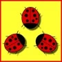 Logo Tre Coccinelle Agenzia di viaggi