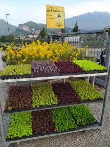 Logo T.P.C. Società Agricola Semplice