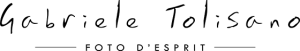Logo Gabriele Tolisano