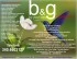 Logo B & G Consulting Srl