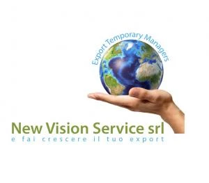 Logo New Vision Service Srl 