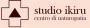 Logo Studio Ikiru