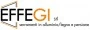 Logo Effegi Srl