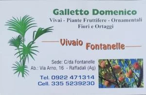 Logo Galletto Domenico Vivaio