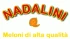 Logo Azienda Ortofrutticola Nadalini