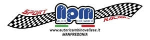 Logo N.P.M. Autoricambi di Novellese Gaetano & C. Sas