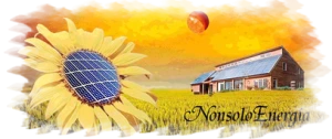 Logo Nonsoloenergia Srl