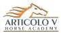 Logo Articolo V Horse Academy