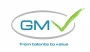 Logo GMV Consulting Srl