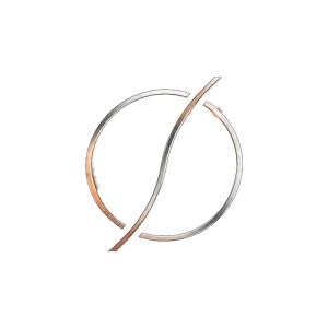Logo Primo Francesco