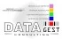 Logo Datagest Consulting di Marco Sorrentino