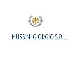 Logo Mussini Giorgio Srl
