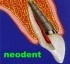 Logo Neodent