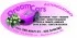 Logo Dream Cars