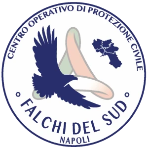 Logo Associazione Falchi del Sud