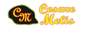 Logo Melis Cesare   