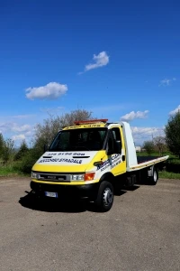 Logo Stoimenov Ivaylo Hristov