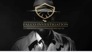 Logo Falco Investigation